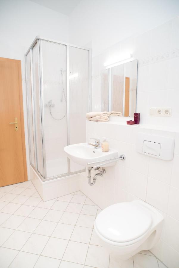 Stilvolle 1-Raum-Wohnung Zentral, Ruhig Gelegen Dresde Extérieur photo